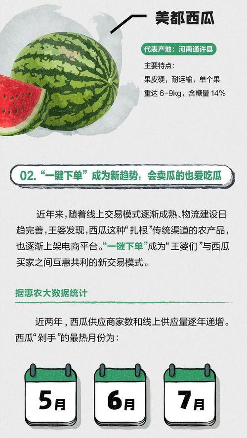 吃瓜网官网免费观看 吃瓜大赛,免费畅享吃瓜盛宴！吃瓜大赛官网带你一网打尽热门瓜料